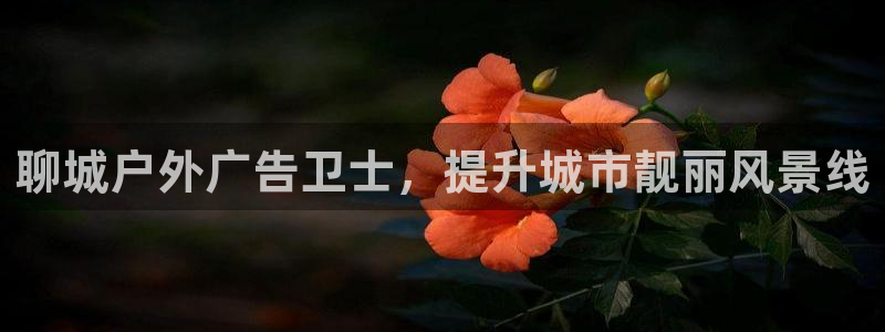 杏宇平台开户：聊城户外广告卫士，提升城市靓丽风景线