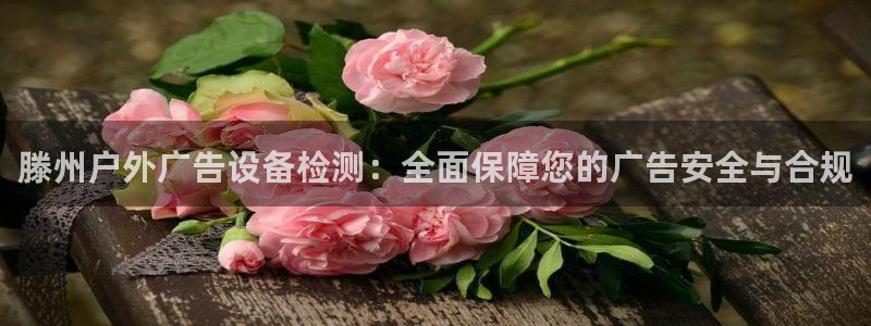 杏宇平台注册登录