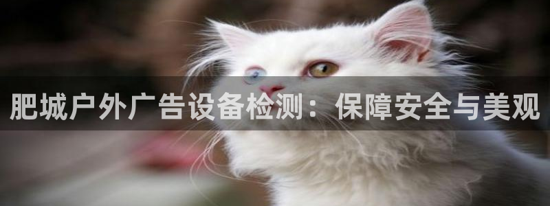 杏宇平台登录步骤是什么