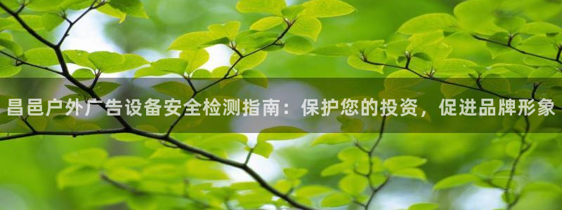 杏宇平台代理多少钱一个月