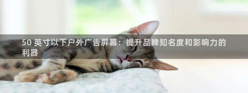 杏宇平台开户