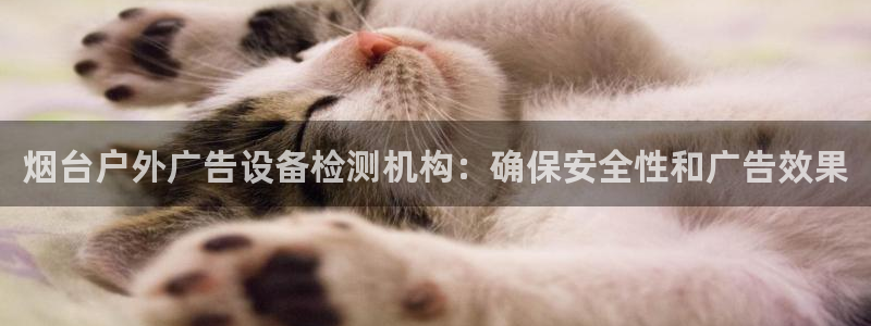 杏宇平台总代理是谁