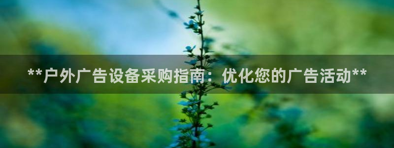 杏宇平台注册登录
