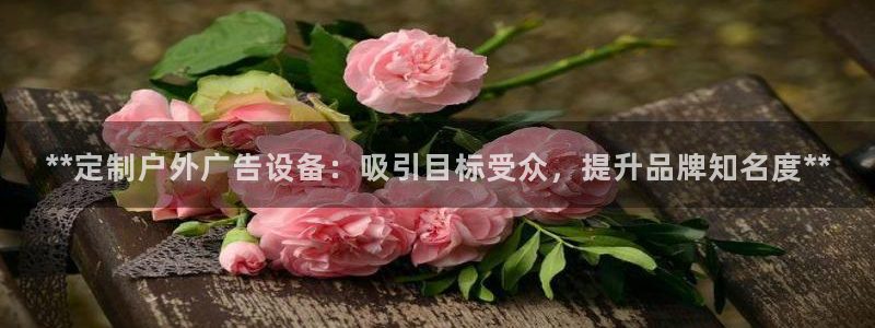 杏宇平台是什么：**定制户外广告设备：吸引目标受众，提升品牌知名度**