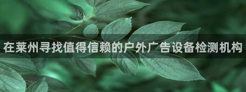 杏宇代理注册：在莱州寻找值得信赖的户外广告设备检测机构