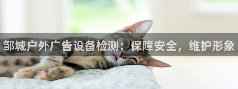 杏宇平台代理多少钱一个月：邹城户外广告设备检测：保障安全，维护形象