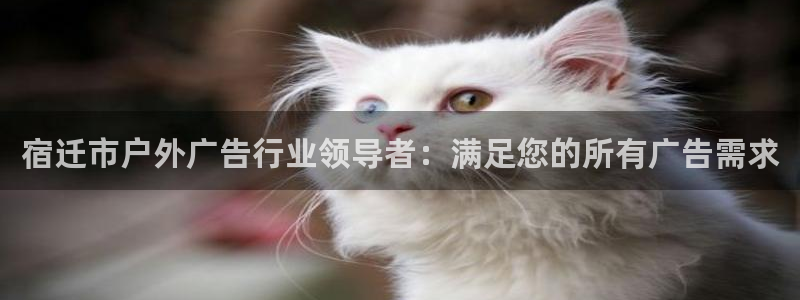 杏宇平台是什么：宿迁市户外广告行业领导者：满足您的所有广告需求