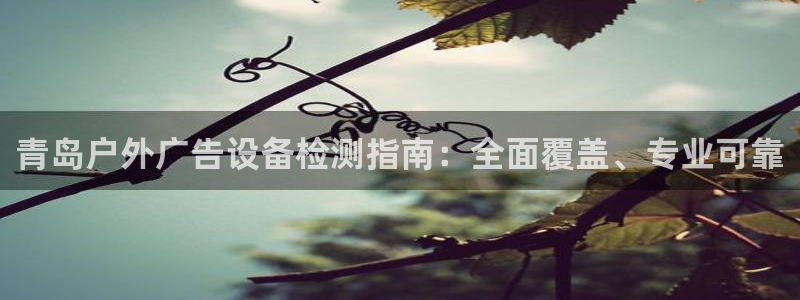 杏宇平台总代理：青岛户外广告设备检测指南：全面覆盖、专业可靠