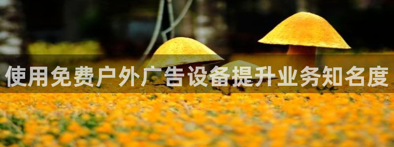 杏宇平台注册地址：使用免费户外广告设备提升业务知名度