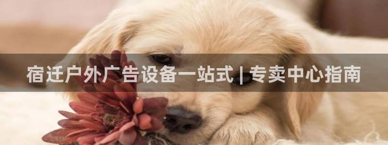 杏宇平台注册登录：宿迁户外广告设备一站式 | 专卖中心指南