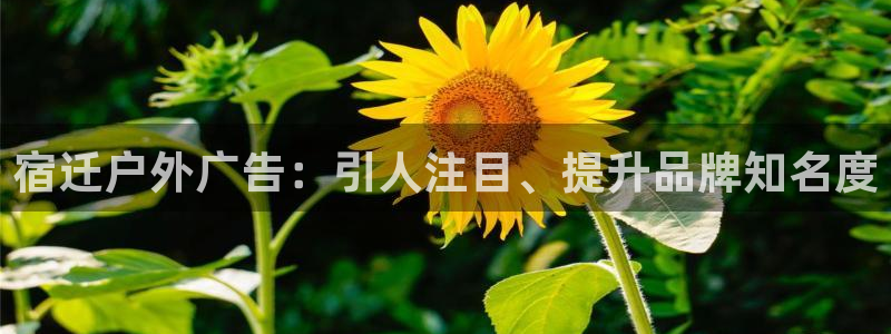 杏宇平台代理多少钱一个：宿迁户外广告：引人注目、提升品牌知名度