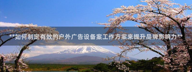 杏宇平台客服：**如何制定有效的户外广告设备案工作方案来提升品牌影响力**