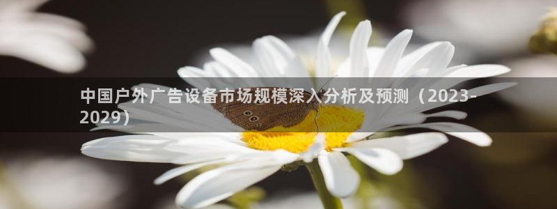 杏宇平台主管：中国户外广告设备市场规模深入分析及预测（2023-
2029）