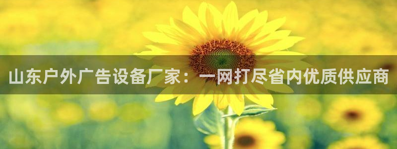 杏宇平台代理怎么赚钱的