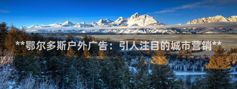 杏宇平台测速链接：**鄂尔多斯户外广告：引人注目的城市营销**