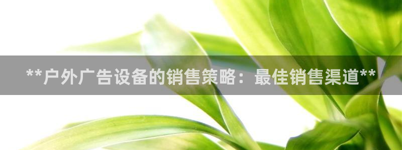 杏宇平台代理怎么样可靠吗：**户外广告设备的销售策略：最佳销售渠道**
