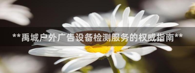杏宇平台总代理是谁：**禹城户外广告设备检测服务的权威指南**