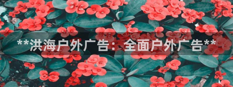 杏宇平台官网注册：**洪海户外广告：全面户外广告**