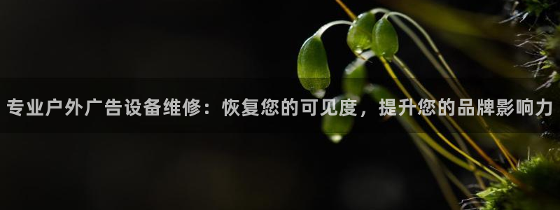 杏宇官方平台官网：专业户外广告设备维修：恢复您的可见度，提升您的品牌影响力