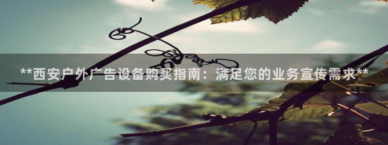 杏宇平台注册登录：**西安户外广告设备购买指南：满足您的业务宣传需求**