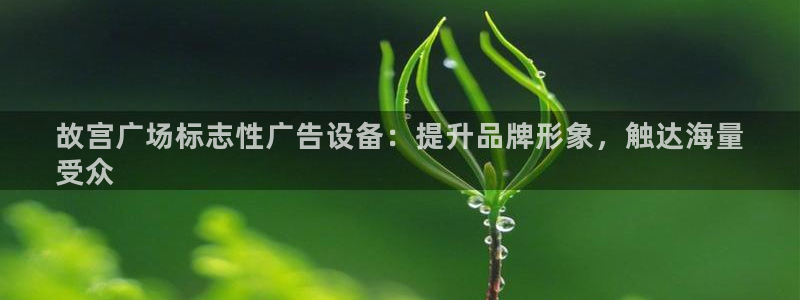 杏宇平台代理怎么赚钱：故宫广场标志性广告设备：提升品牌形象，触达海量
受众