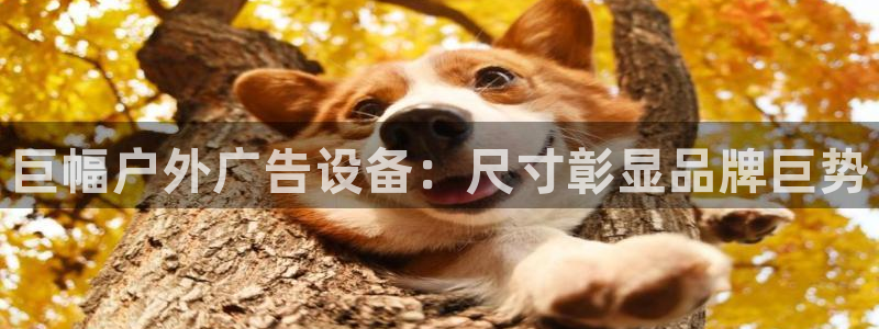 杏宇平台招商怎么样：巨幅户外广告设备：尺寸彰显品牌巨势
