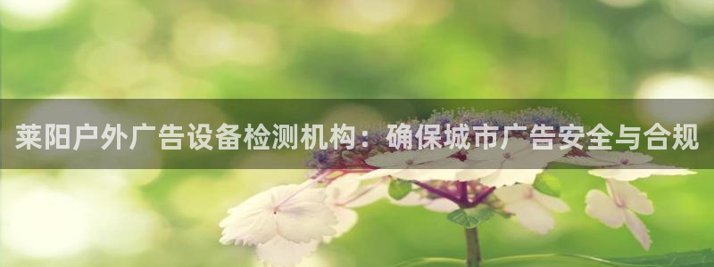 杏宇平台代理怎么样