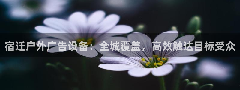 杏宇官方平台官网下载：宿迁户外广告设备：全城覆盖，高效触达目标受众