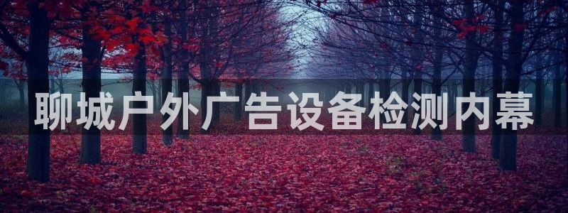 杏宇平台代理怎么样：聊城户外广告设备检测内幕
