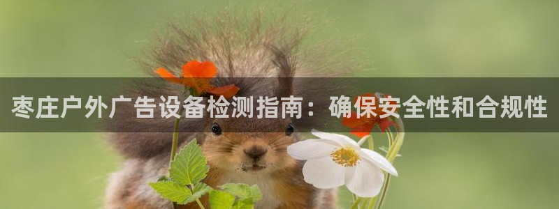 杏宇平台怎么样：枣庄户外广告设备检测指南：确保安全性和合规性