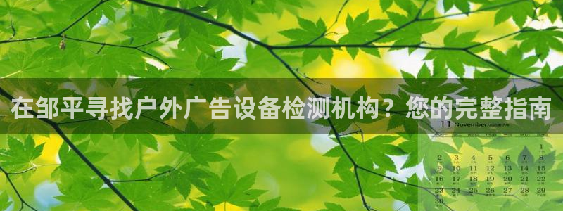 杏宇平台怎么样：在邹平寻找户外广告设备检测机构？您的完整指南