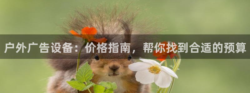 杏宇平台代理多少钱一次：户外广告设备：价格指南，帮你找到合适的预算