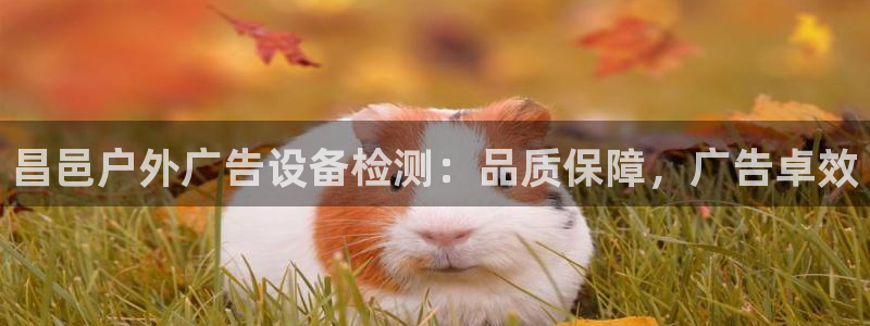 杏宇平台怎么样赚钱