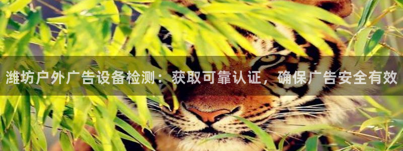 杏宇平台招商电话号码：潍坊户外广告设备检测：获取可靠认证，确保广告安全有效