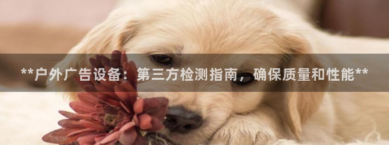 杏宇平台代理怎么样啊：**户外广告设备：第三方检测指南，确保质量和性能**