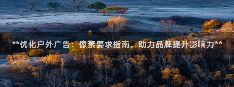 杏宇平台代理怎么样可靠吗：**优化户外广告：像素要求指南，助力品牌提升影响力**