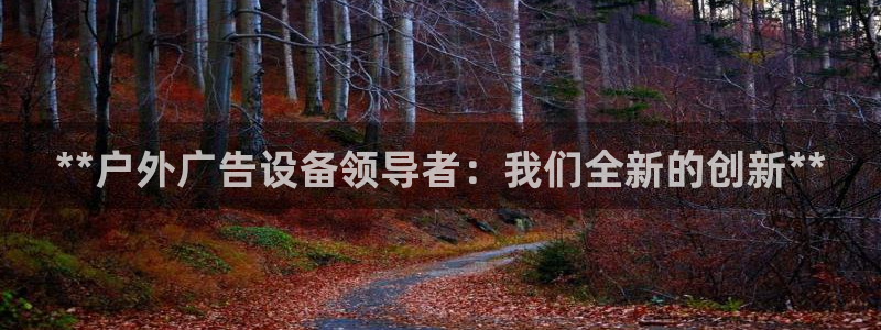 杏宇平台代理：**户外广告设备领导者：我们全新的创新**
