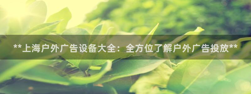 杏宇平台注册登录：**上海户外广告设备大全：全方位了解户外广告投放**