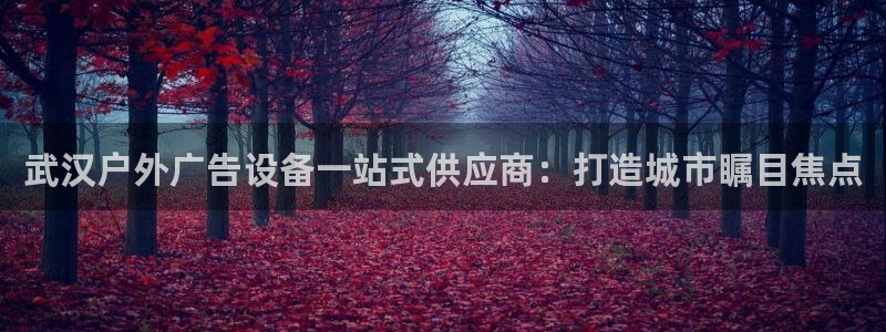 杏宇平台是什么：武汉户外广告设备一站式供应商：打造城市瞩目焦点