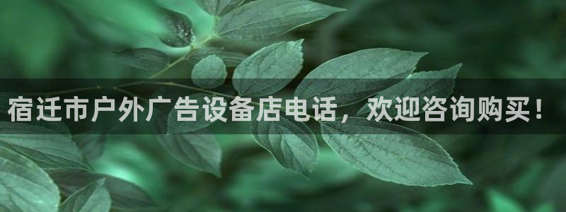杏宇平台提现为什么这么久呢：宿迁市户外广告设备店电话，欢迎咨询购买！