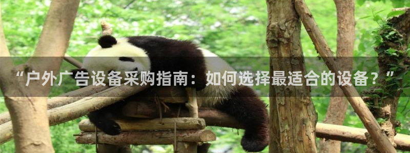 杏宇平台代理：“户外广告设备采购指南：如何选择最适合的设备？”
