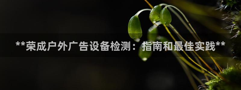 杏宇平台代理怎么赚钱的：**荣成户外广告设备检测：指南和最佳实践**