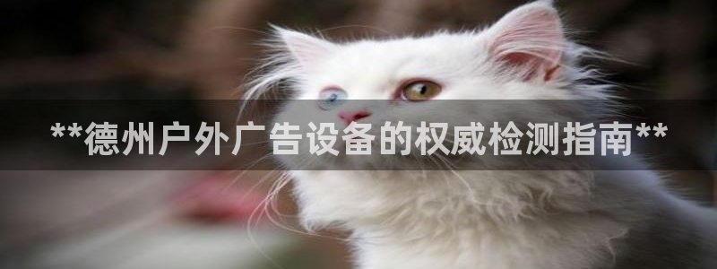 杏宇平台测速链接：**德州户外广告设备的权威检测指南**