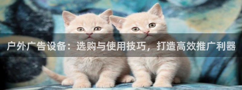 杏宇官方平台官网：户外广告设备：选购与使用技巧，打造高效推广利器