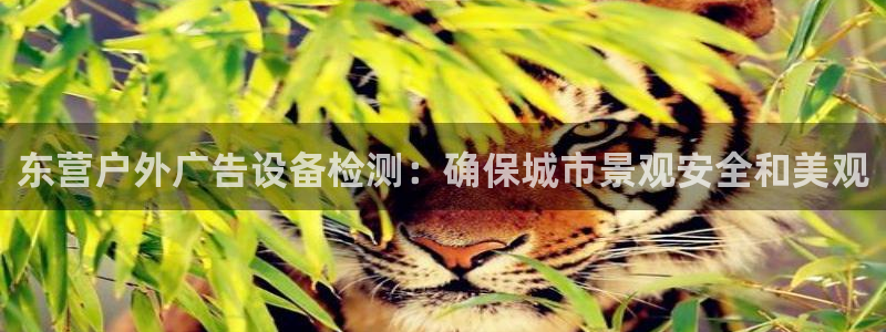 杏宇平台注册地址在哪里：东营户外广告设备检测：确保城市景观安全和美观