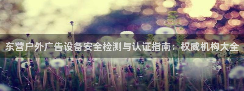 杏宇平台是什么：东营户外广告设备安全检测与认证指南：权威机构大全