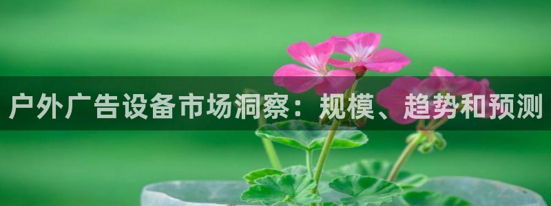 杏宇平台代理怎么赚钱快：户外广告设备市场洞察：规模、趋势和预测