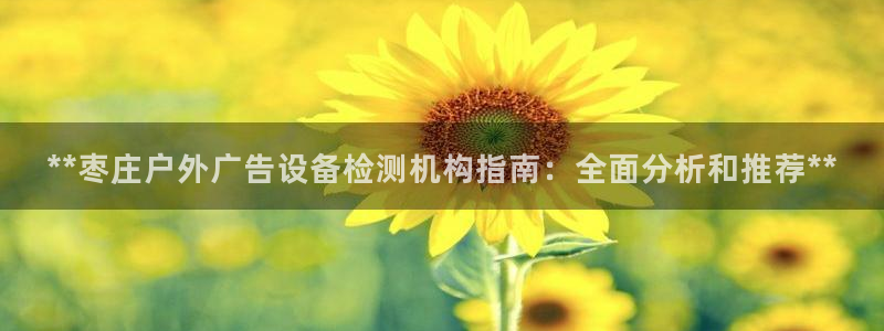 杏宇平台登录步骤图：**枣庄户外广告设备检测机构指南：全面分析和推荐**