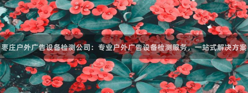 杏宇平台客服：枣庄户外广告设备检测公司：专业户外广告设备检测服务，一站式解决方案