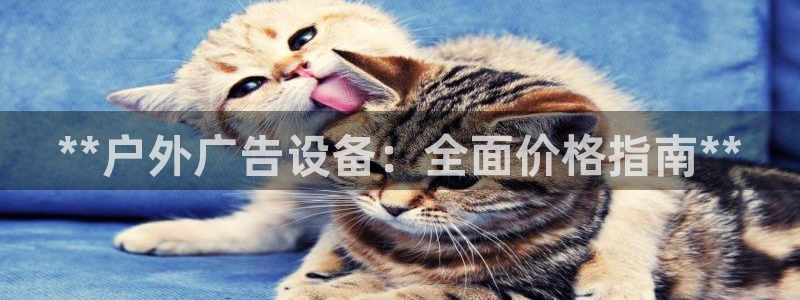 杏宇平台官网注册：**户外广告设备：全面价格指南**